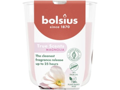 45239-45239 101924930304